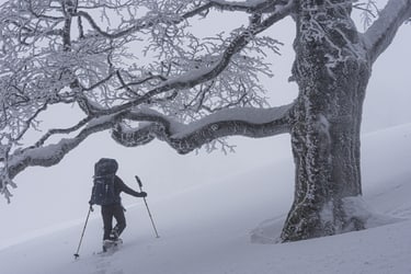 ski tour during a snow storm