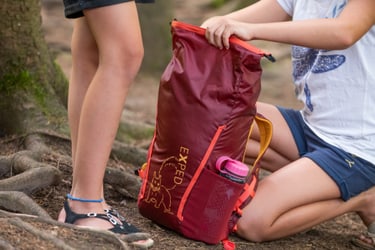 picnic in forest