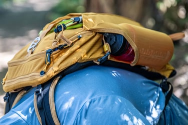 Backpack Skyline