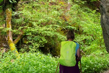 hiking in forest during a rainy day