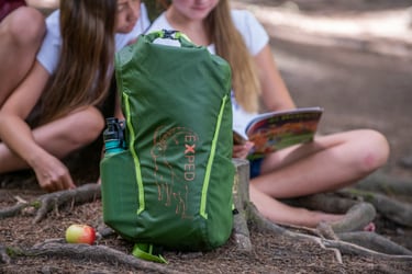 picnic forest