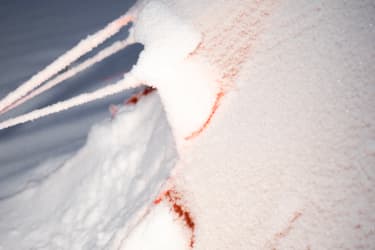 Ceres XP in the snow