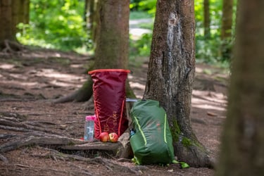 Typhoon standing in forest