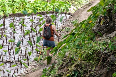 hiking on holidays