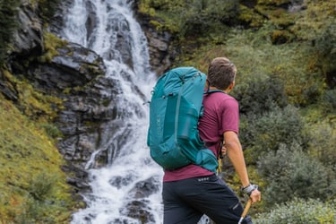 Backpack Skyline