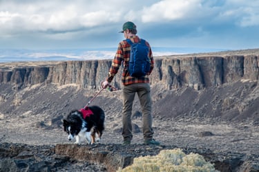 hiking with dog in the mountains