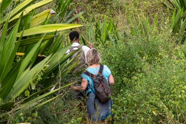 walking through bushes