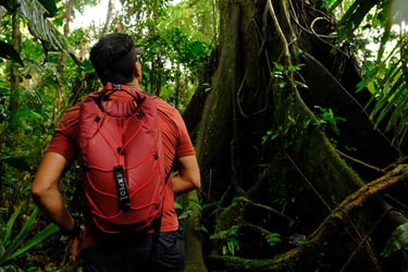 exploring in jungle