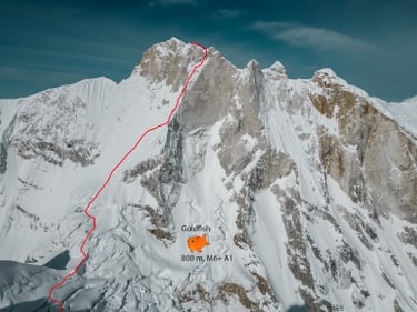 Goldfish route