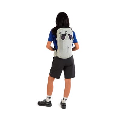 Backpack back view