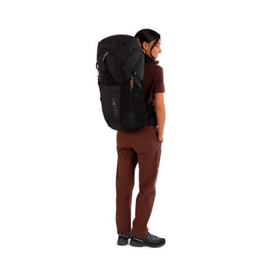Backpack back view
