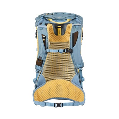 Backpack back view