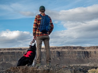 hiking with dog in the mountains