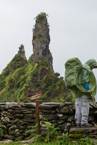 Ponchos Cateogry